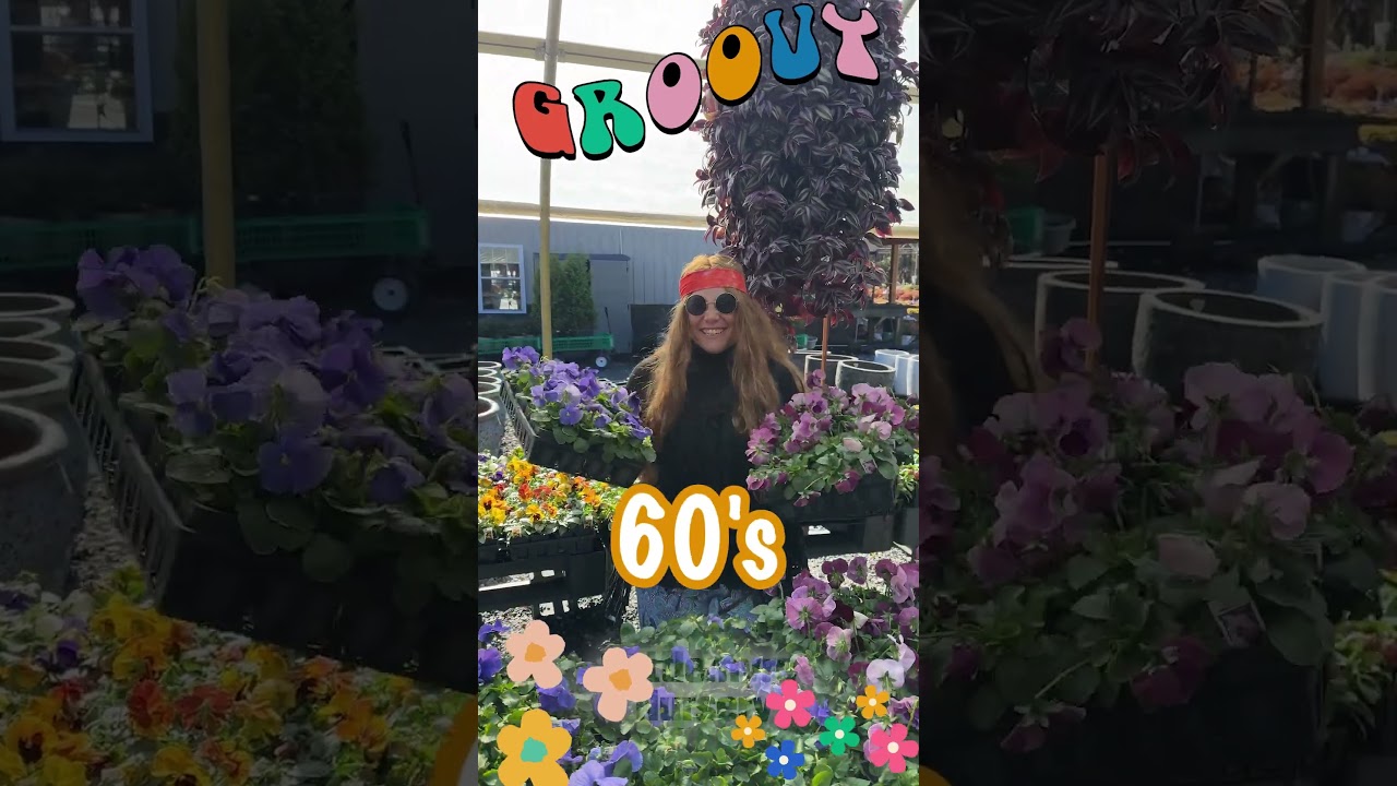 No Matter the Decade, Plants Never Grow Out of Style! 🎉 What's your favorite Decade?