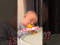 Se duerme mientras come… ¿por qué? 😱