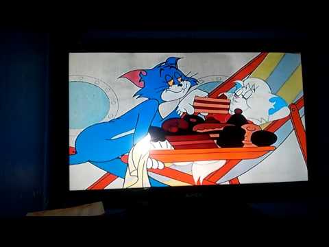 Tom and Jerry Fandubs (Calypso Cat)