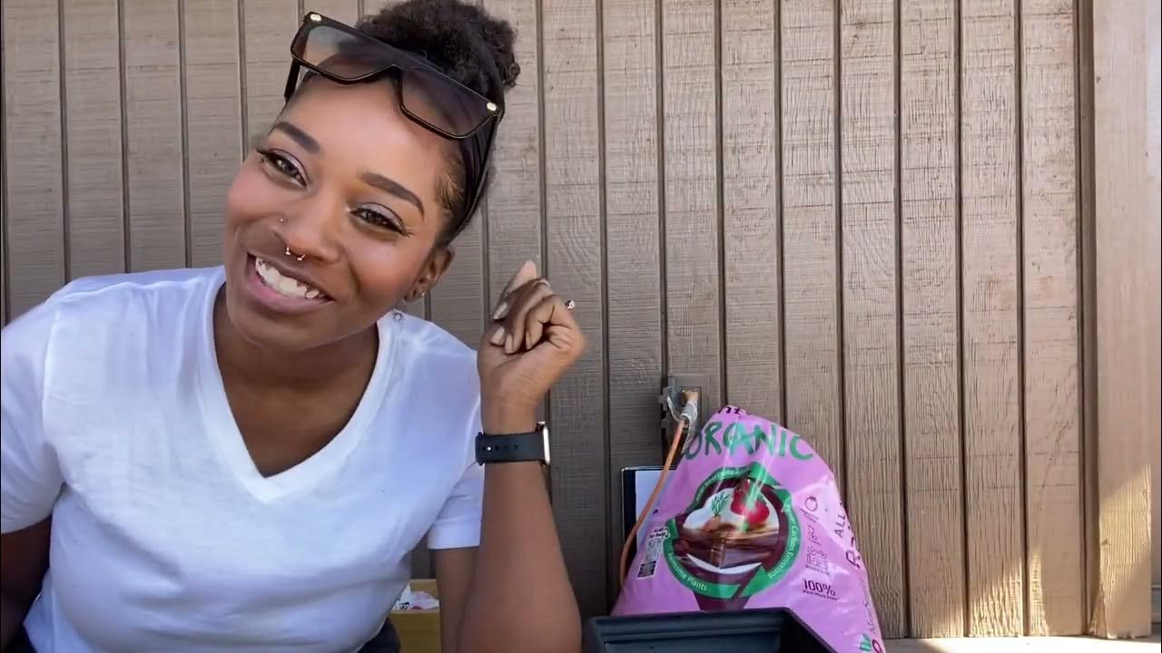 Potting tulips bulbs w/ blue mold Errands Car Wash & a Tractor Supply Run YouTube