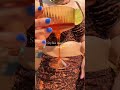 Mom bikin Popilush Leopard Swimwear mom bikini Set High Waisted Bikini Shapewear Swimsuit Push Up