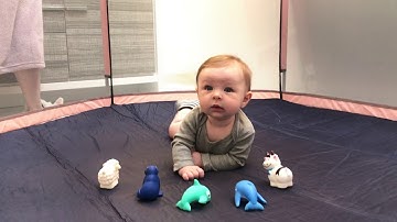 Busy Parents Need the Pop 