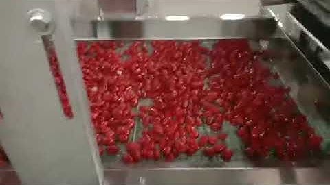 dates washing drying sorting machine,dates cleaning drying grading machine