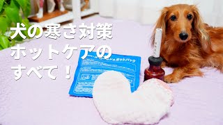 愛犬の冷え対策完全ガイド！ホットケアで健康を守る方法 by azi 『イヌなで』ちゃんねる 89 views 3 months ago 6 minutes, 17 seconds