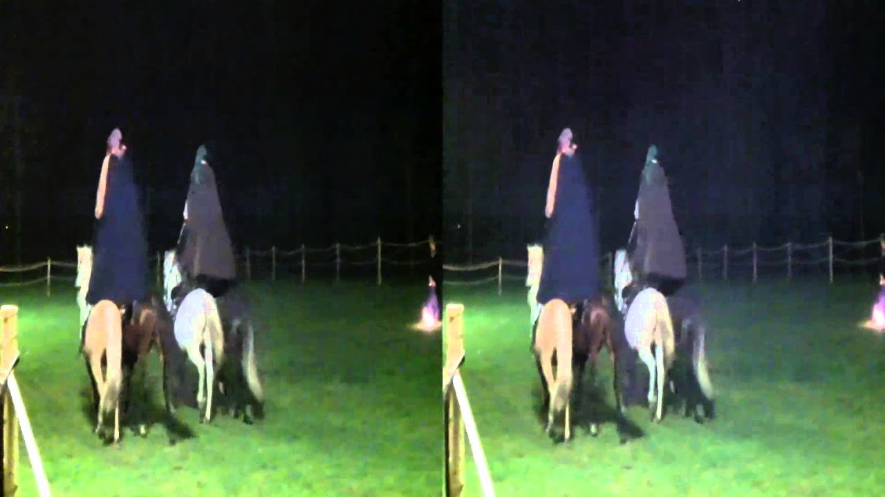 Foire de Noël 2012 Maillezais 3D part 2