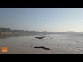 Scores of Crocodiles Spotted Sun-baking by Northern Territory, Australia.