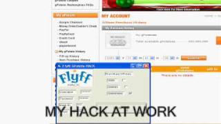 Flyff Gpotato hack v13