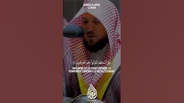 Sourate Al-Anfal سورة الأنفال par Al Sheikh Maher Bin Hamad Al Muaiqly
