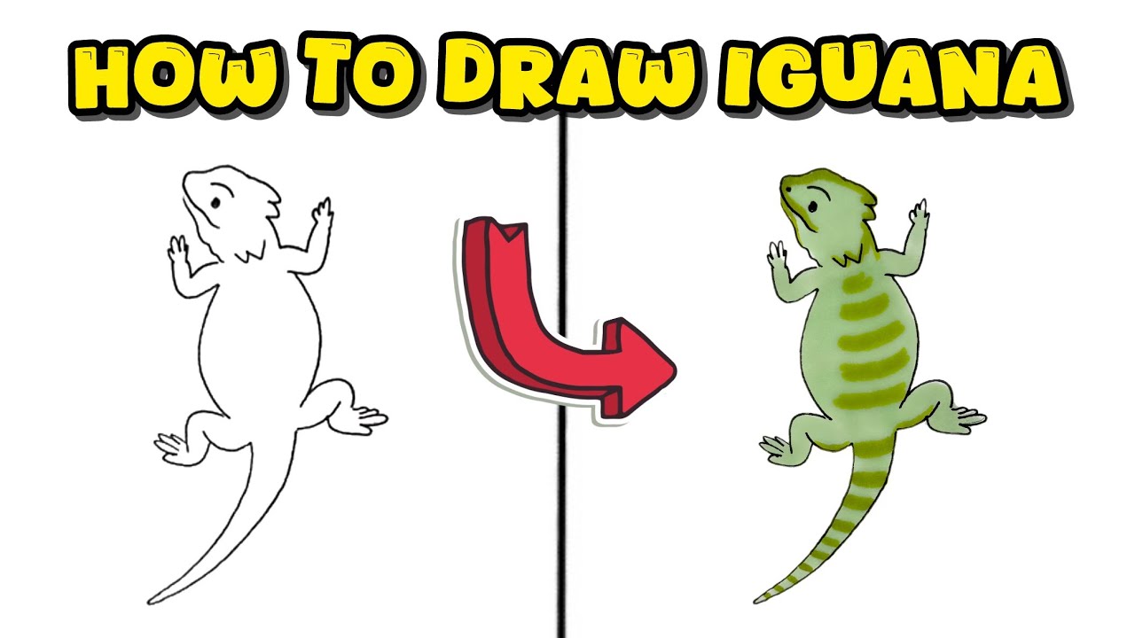 How to Draw an Iguana – Easy Reptile Drawing with Colorful Markers