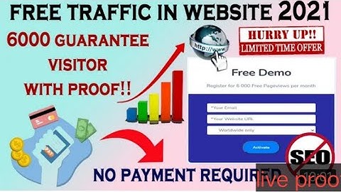 Get Daily 10,000+ Visitors To Your Website | Automatic Traffic Generator Of Your Blog & Website | VP