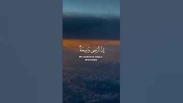 تلاوة خاشعة تريح القلب❤ #تلاوة #تلاوة_خاشعة #القرآن
