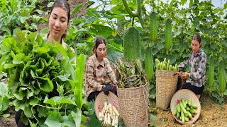 FULL VIDEO: Record the journey of harvesting agricultural products...cooking.overcoming difficulties