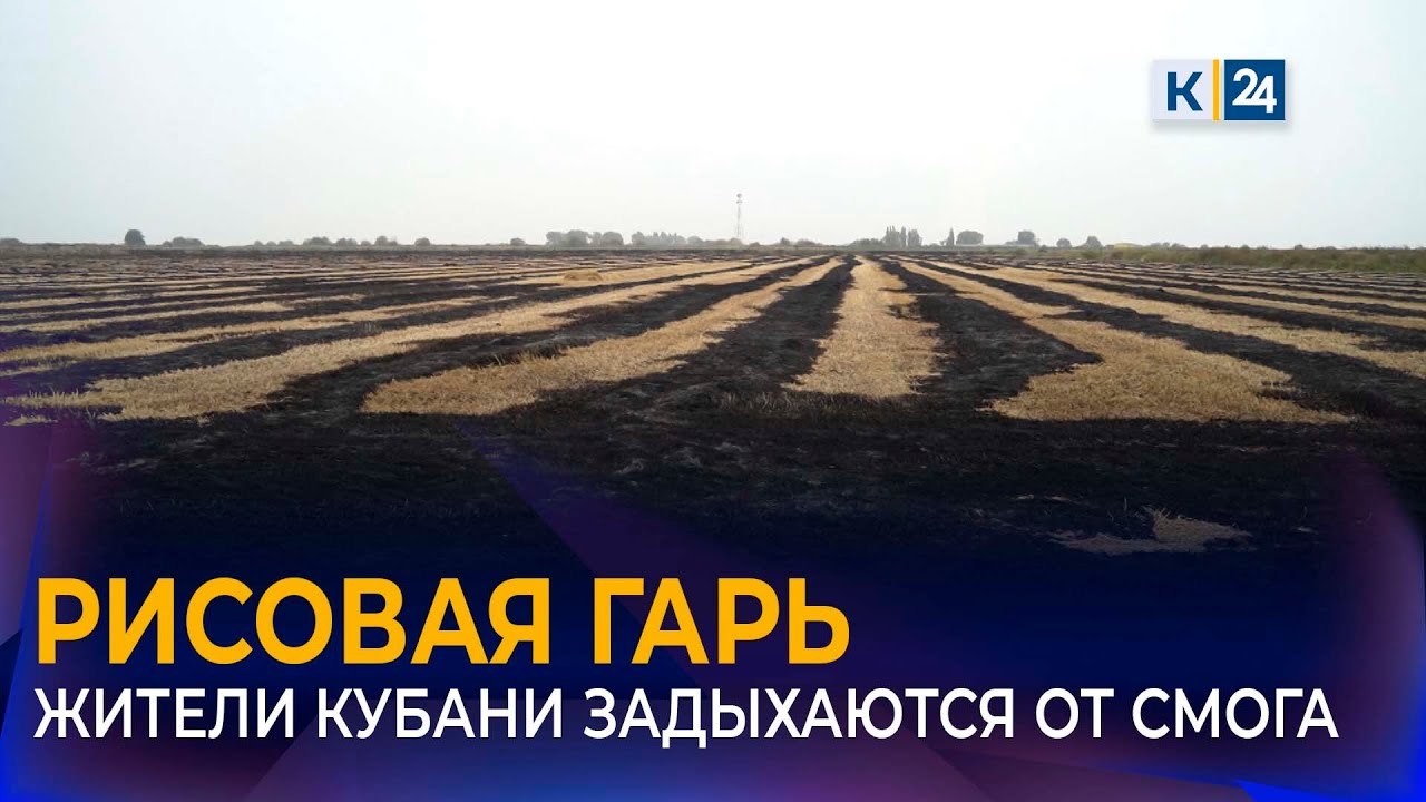 На загрязнение воздуха из-за сжигания рисовых отходов пожаловались жители Кубани