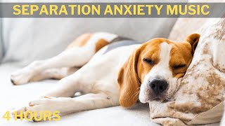 Separation Anxiety Music for Dogs - Music to calm your dog's nerves