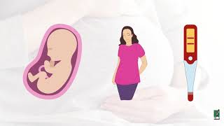 قائمة فحوصات الحمل ... وما يشمل إذا كان مكتمل أو خارج الرحم ؟( مختبرات البرج الطبية )