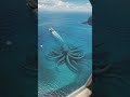 The Kraken Awakens 🌊🦑 | Giant Sea Monster Beneath the Ship