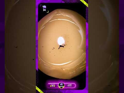 أسهل طريقة لإزالة الشمع من جميع الأسطح