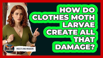 How Do Clothes Moth Larvae Create All That Damage? - Insects and Invaders