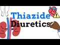 Thiazide and thiazidelike diuretics  all you need to know