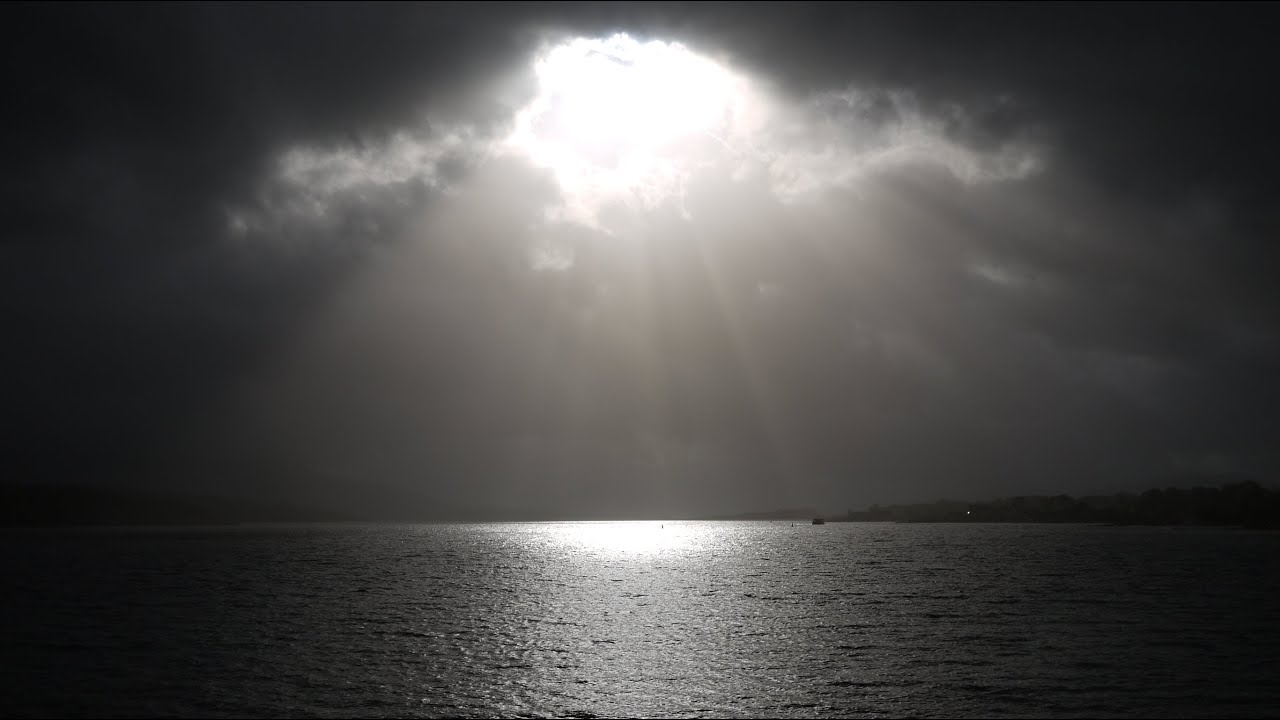 What Warrior Way does for you!