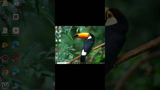 How to Download LDPlayer 3 for Low End PC! 💻 #shorts