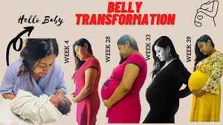 My Pregnancy Transformation (Week By Week Belly Growth) I 4 weeks To 39 Weeks I Shaishta Mazumdar