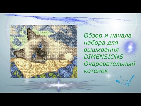 Обзор и начала набора для вышивания крестом DIMENSIONS Очаровательный котенок