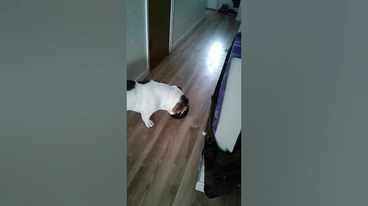 VID_20170108_143...