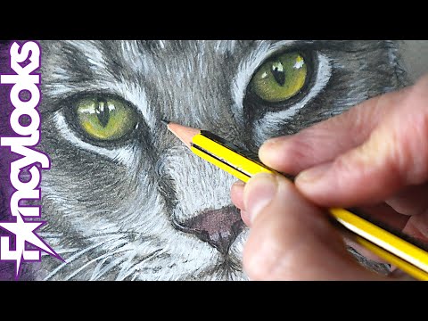 Video: Cómo Dibujar Un Hermoso Gato En Tu Cara