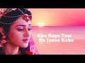 RadhaKrishn - Kho Gaye Tum Na Jaane Kaha (O Kanha O Krishn - With Lyrics)