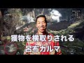 【声真似】獲物を横取りされる 呂布カルマ 【MHWIB】
