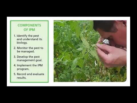 National Pesticide Applicator Certification Core Manual (Chapter 1) - Pest Management