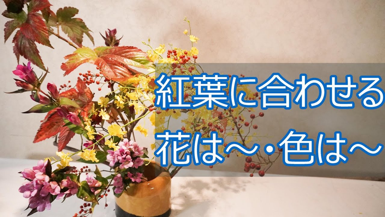 生け花 紅葉に合わせる花は何 色は 明るい秋にしたい時は オンシジウム りんどう Lively Flowers 插花 Sogetsu Youtube