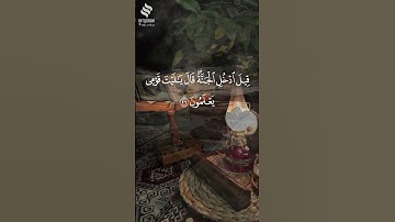القارئ هيثم الدخين قيل ادخل الجنه