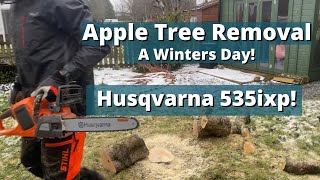 Apple Tree & Shrub Removal // Husqvarna 535ixp Battery Chainsaw // Conifer  Trim