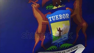 4K michigan flag waving in the wind. Looping sun rises style. Animation loop Stock video