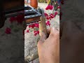 Repara la biela rota de tu bicicleta sin gastar dinero #TrucoDeBicicleta #ReparacionCasera