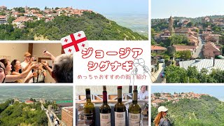 [Sighnaghi, Georgia🇬🇪] Recommended tours & accommodations, ATM information, and more✨