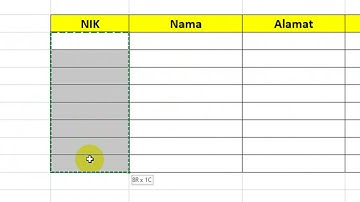 Cara Membatasi Input Data Sama di Excel Dengan Countif dan Data Validation