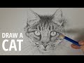 HOW TO DRAW A CAT (ARTISTIC PORTRAIT)