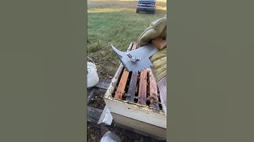 The Every Thing Hive Tool