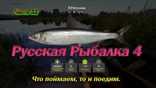 Русская рыбалка 4. часть  32. Что поймаем, то и поедим.
