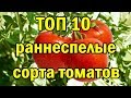 ТОП 10 раннеспелые сорта ТОМАТОВ.