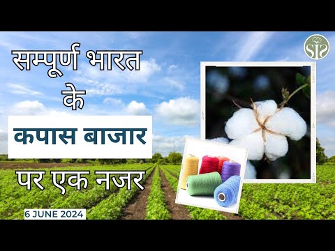 05 जून 2024 का सम्पूर्ण भारत का कॉटन बाजार भाव😯 aaj ka kapas bajar bhav😯 cotton market rate today