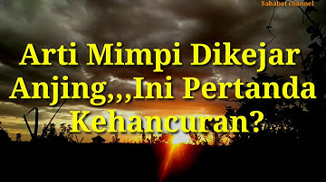 Arti Mimpi Dikejar Anjing,,,, Ini Pertanda Kehancuran