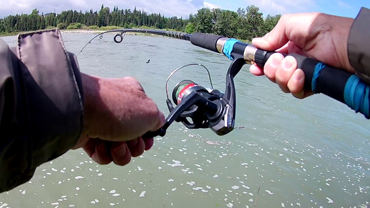 Trout fishing, Bow River, Calgary June 18, 2020 - YouTube