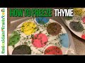 How to Freeze Fresh Thyme - Less than 2:30 minutes - Antioxidant-fruits