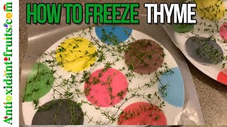 How to Freeze Fresh Thyme - Less than 2:30 minutes - Antioxidant-fruits by antioxidantfruits 743 views 3 years ago 2 minutes, 21 seconds