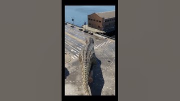 Unreal Engine 5 | I am a T Rex and i