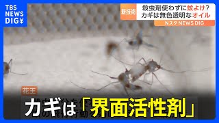 カギは「界面活性剤」 花王が“蚊の飛行行動妨げる”新技術発表　表面張力低い液体吹きかけ「数秒でノックダウン」｜TBS NEWS DIG